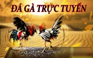 Bí Kíp Tham Gia Đá Gà GA28 Tại 88GO Dễ Thắng Lớn